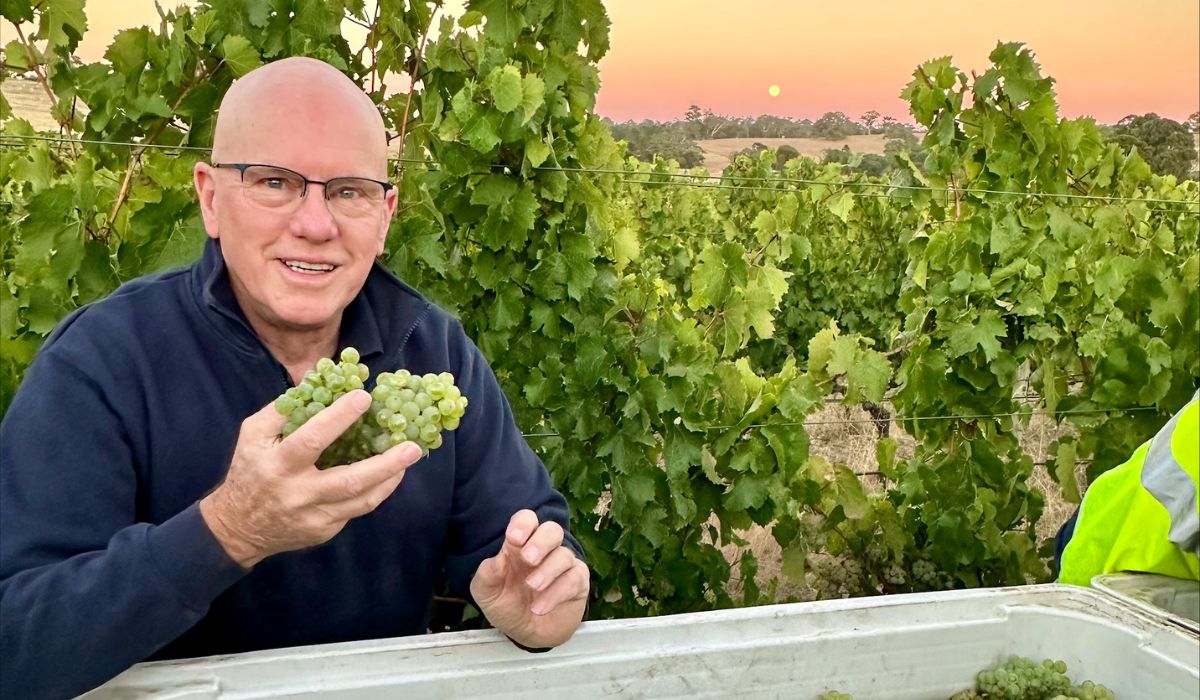 Jeffrey grosset in the vineyard where the grapes were harvested for Grosset G110 Riesling - 2024.